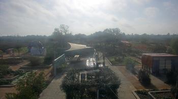 Weather camera view of Houston Botanic Garden.