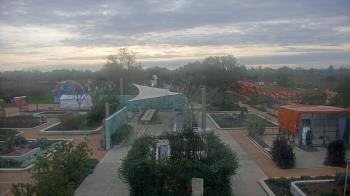 Weather camera view of Houston Botanic Garden.