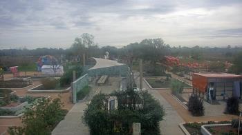 Weather camera view of Houston Botanic Garden.