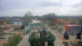 Weather camera view of Houston Botanic Garden.