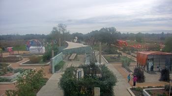 Weather camera view of Houston Botanic Garden.