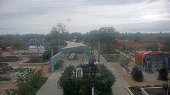 Weather camera view of Houston Botanic Garden.
