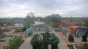 Weather camera view of Houston Botanic Garden.