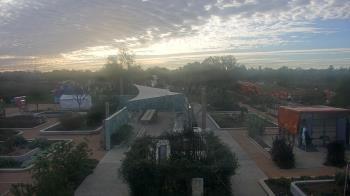 Weather camera view of Houston Botanic Garden.