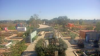 Weather camera view of Houston Botanic Garden.