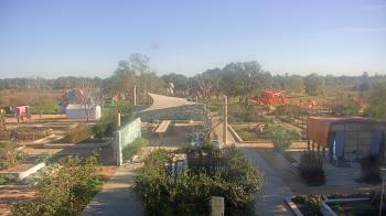 Weather camera view of Houston Botanic Garden.