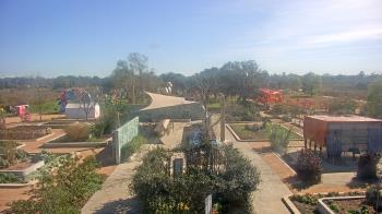 Weather camera view of Houston Botanic Garden.