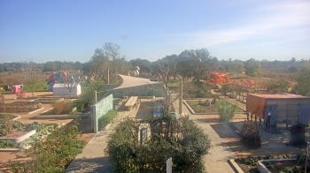 Weather camera view of Houston Botanic Garden.