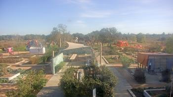 Weather camera view of Houston Botanic Garden.