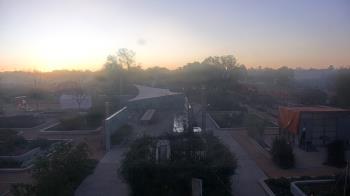 Weather camera view of Houston Botanic Garden.