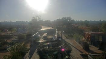 Weather camera view of Houston Botanic Garden.