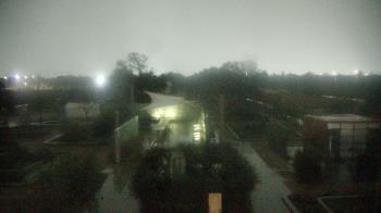 Weather camera view of Houston Botanic Garden.