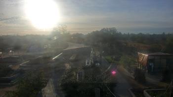 Weather camera view of Houston Botanic Garden.