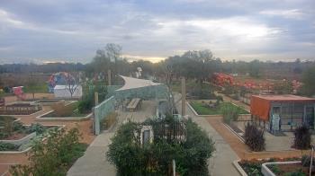 Weather camera view of Houston Botanic Garden.