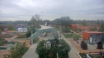 Weather camera view of Houston Botanic Garden.