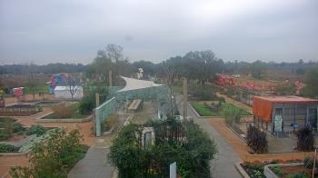 Weather camera view of Houston Botanic Garden.