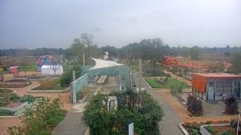 Weather camera view of Houston Botanic Garden.