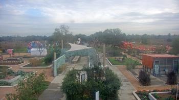Weather camera view of Houston Botanic Garden.