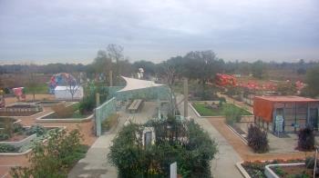 Weather camera view of Houston Botanic Garden.
