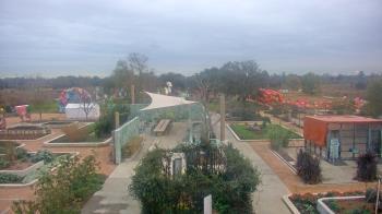 Weather camera view of Houston Botanic Garden.