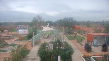 Weather camera view of Houston Botanic Garden.