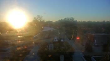 Weather camera view of Houston Botanic Garden.