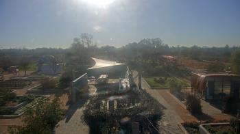 Weather camera view of Houston Botanic Garden.