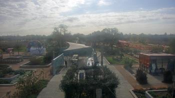Weather camera view of Houston Botanic Garden.