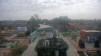 Weather camera view of Houston Botanic Garden.