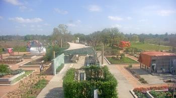 Weather camera view of Houston Botanic Garden.