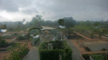 Weather camera view of Houston Botanic Garden.