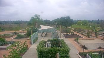 Weather camera view of Houston Botanic Garden.