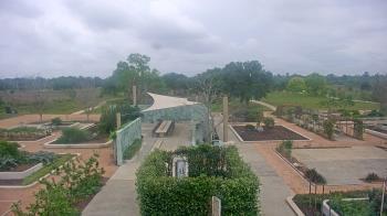 Weather camera view of Houston Botanic Garden.