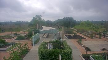 Weather camera view of Houston Botanic Garden.