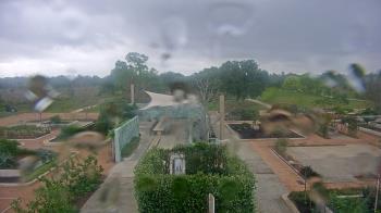 Weather camera view of Houston Botanic Garden.