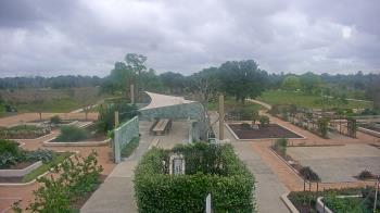 Weather camera view of Houston Botanic Garden.