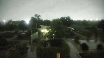 Weather camera view of Houston Botanic Garden.