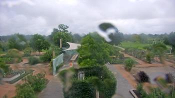 Weather camera view of Houston Botanic Garden.