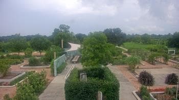 Weather camera view of Houston Botanic Garden.