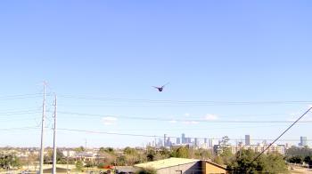 Weather camera view of Harris County OHSEM.