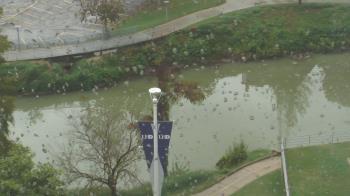Weather camera view of UH Downtown.