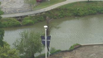 Weather camera view of UH Downtown.