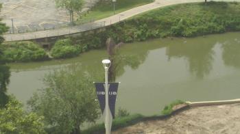 Weather camera view of UH Downtown.