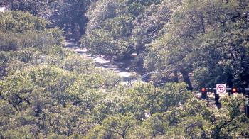 Weather camera view of Hotel ZaZa.