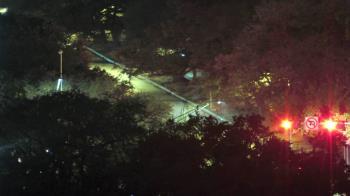 Weather camera view of Hotel ZaZa.