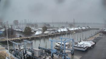 Weather camera view of Tidewater Marina.