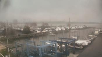 Weather camera view of Tidewater Marina.