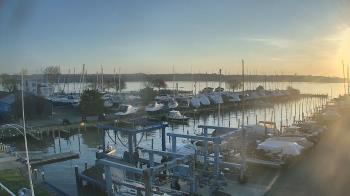 Weather camera view of Tidewater Marina.