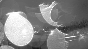 Weather camera view of Haverstraw Elementary School.