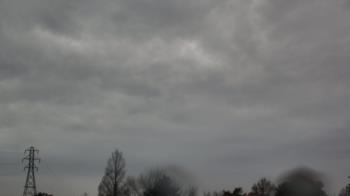 Weather camera view of Woodmere MS.